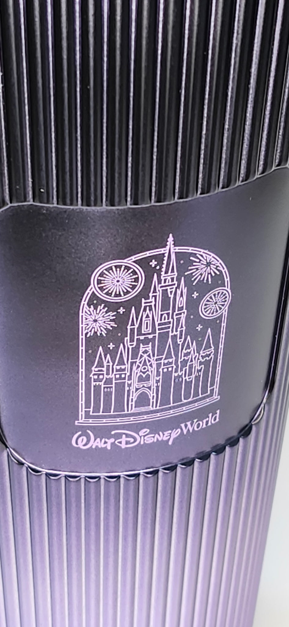 Starbucks & Walt Disney World Cinderella Castle Ombre Tumbler