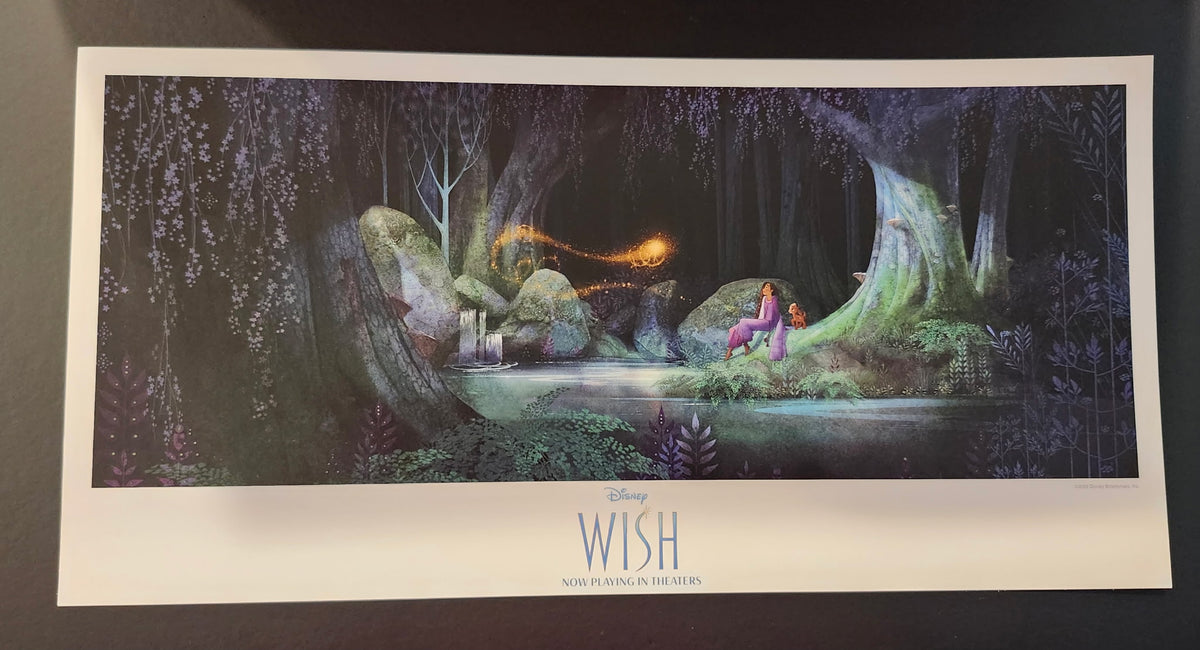Disney Wish Annual Passholder Exclusive Art Print 7x14 EPCOT Promo 2023