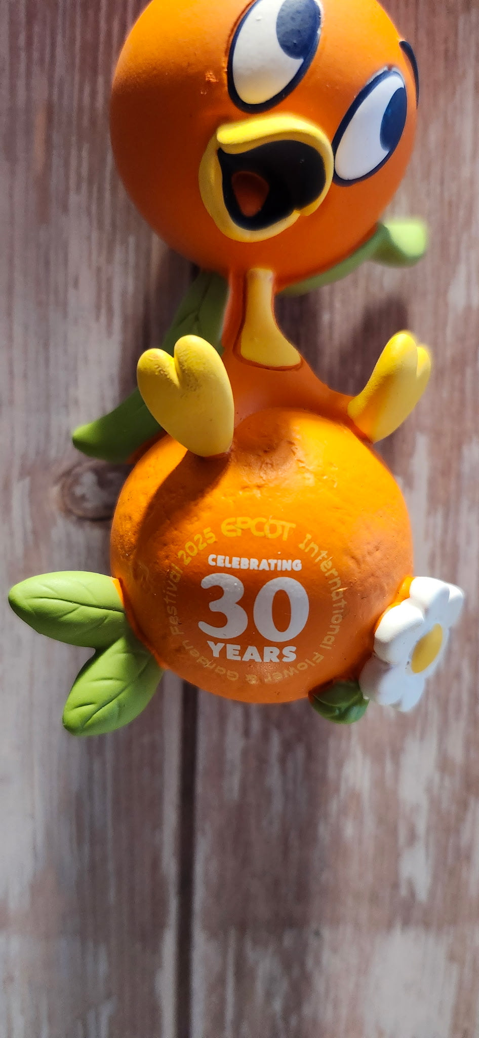 EPCOT Flower & Garden 2025 Festival Ornament - Orange Bird
