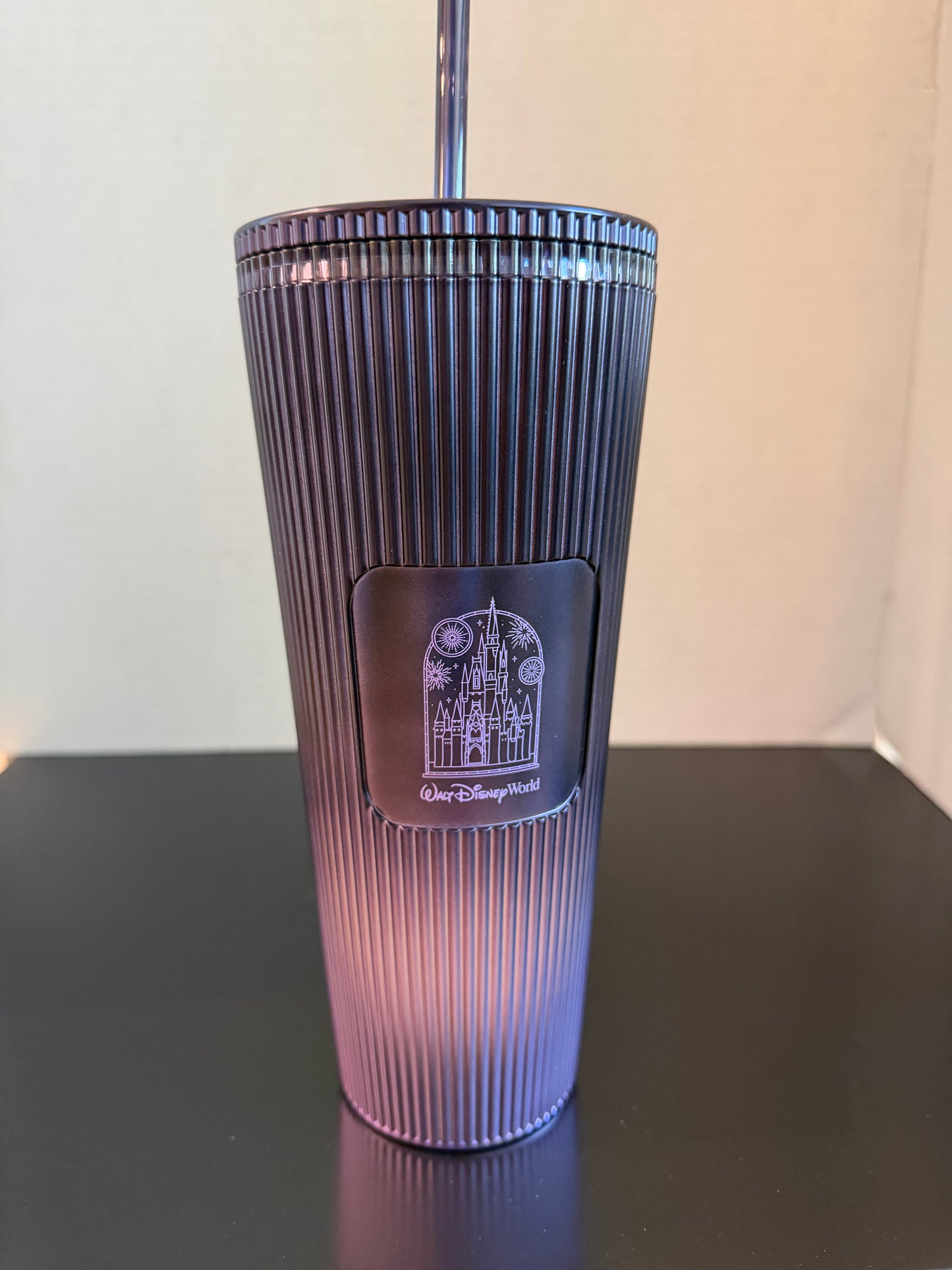 Starbucks & Walt Disney World Cinderella Castle Ombre Tumbler